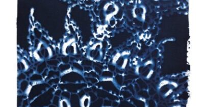 Cyanotype print of lace doilies.