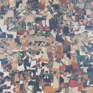 A large collage artwork of various images of bird’s eyes and other abstract elements.